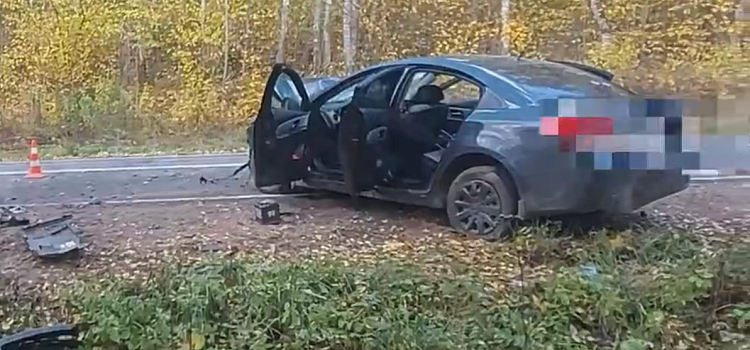 В Ярославской области осудят водителя, по вине которого в ДТП погибла семья с девятилетним ребенком_242498
