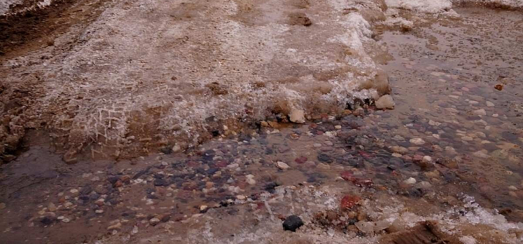 «Можно вместе с вездеходом провалиться»: под Ярославлем размывает дорогу до деревни_226223