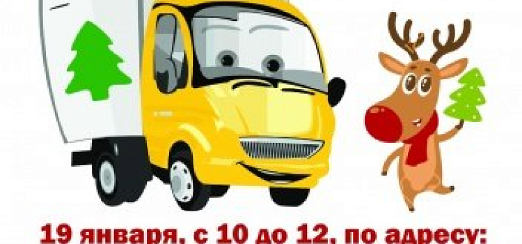 Активисты определили места, где можно сдать елку для Ярославского зоопарка