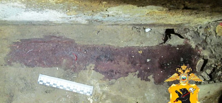 В Ярославской области молодой человек жестоко убил мать-инвалида и её сожителя