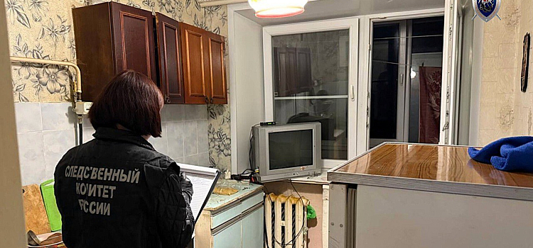 В посёлке Ярославской области женщина зарезала бывшего супруга_305626