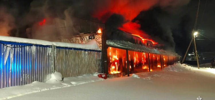 На Угличской птицефабрике произошёл крупный пожар