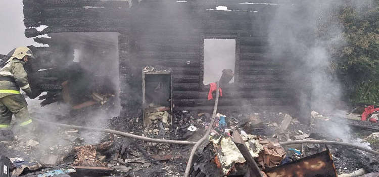 В селе Ярославской области при пожаре погибли женщина и двое детей_274640