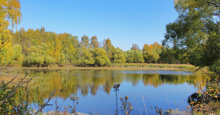 Антимонопольщики нашли нарушения в закупке на ликвидацию шламонакопителя в Ярославле