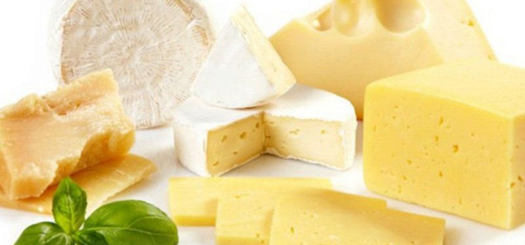 В Ярославле уничтожено 11,5 кг запрещенного сыра из Литвы и Германии 