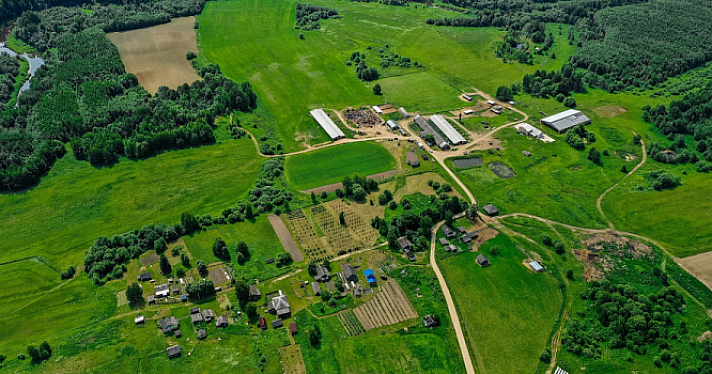 На развитие сельских территорий Ярославской области выделили более миллиарда рублей