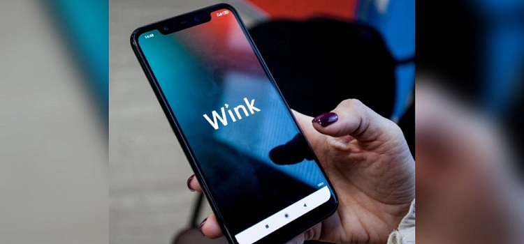 100% российский: Wink включен в реестр отечественного программного обеспечения