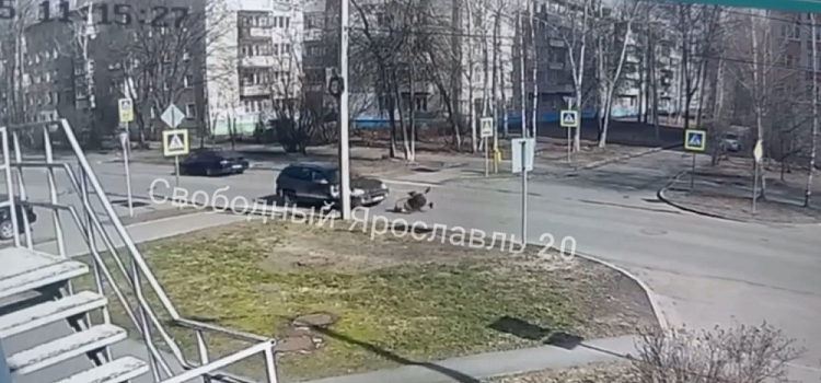 В Ярославле на пешеходном переходе сбили женщину с младенцем в коляске