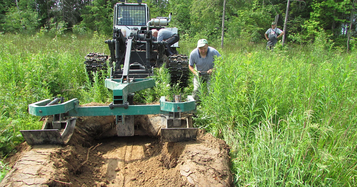 В Ярославской области подготовили почву под искусственное лесовосстановление_227394