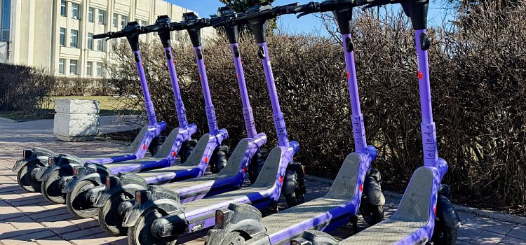 В этом сезоне прокат самокатов Юрент в Ярославле сделали доступным даже без интернета