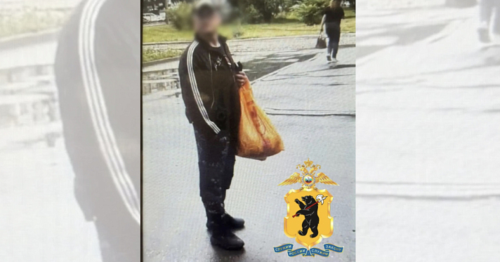 Ярославский поджигатель летней веранды кафе «Много рыбы» задержан
