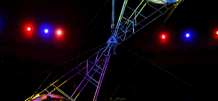 Ярославский цирк представляет новую программу!_57126