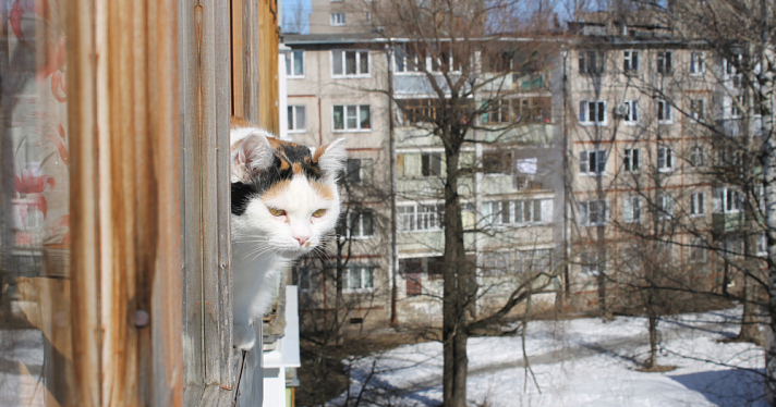 Конец зиме: в Ярославль вернётся тёплая погода