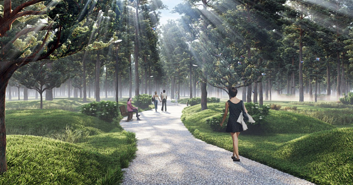 Спортплощадки, парковки и дорожки: стало известно, как хотят благоустраивать Тверицкий бор в Ярославле