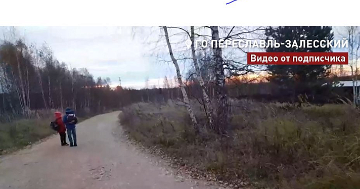 Не только лоси, но и волки: ярославцы пожаловались на опасную дорогу в школу