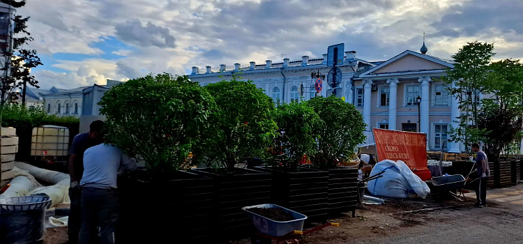 Улицу Депутатскую в Ярославле заполняют мобильным озеленением_321522