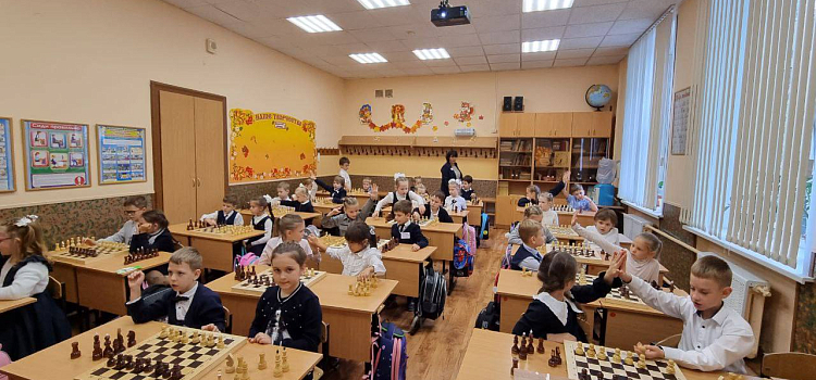 В ярославских школах начались уроки шахмат_252313