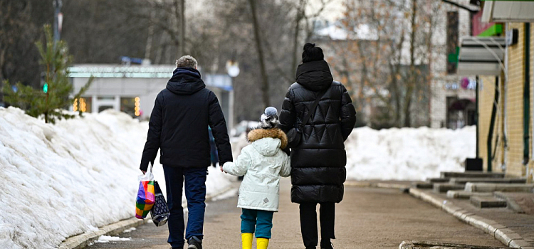 Выплаты и газ: ярославцев предупредили об участившихся случаях мошенничества
