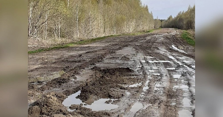 В поселок Ярославской области перестал ездить автобус из-за разбитой дороги