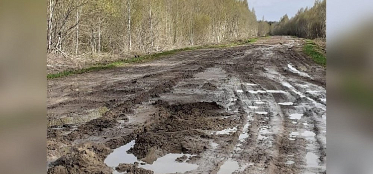 В поселок Ярославской области перестал ездить автобус из-за разбитой дороги