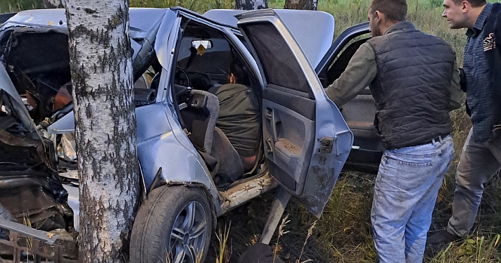 В Ярославском районе водитель врезался в дерево и оставил автомобиль_251461