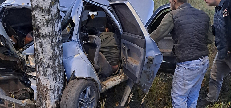 В Ярославском районе водитель врезался в дерево и оставил автомобиль_251461