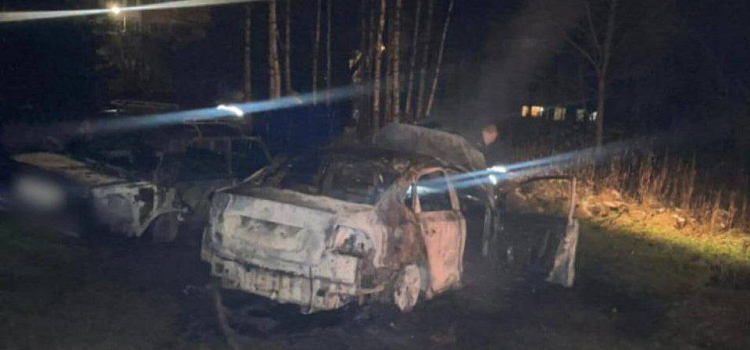 Решил отомстить: в Ярославской области задержали поджигателя автомобиля полицейского