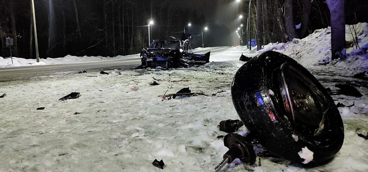 В Ярославской области пассажир иномарки заживо сгорел в автомобиле_234862