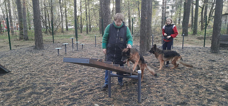 В Заволжском районе Ярославля открыли еще одну площадку для собак_222752