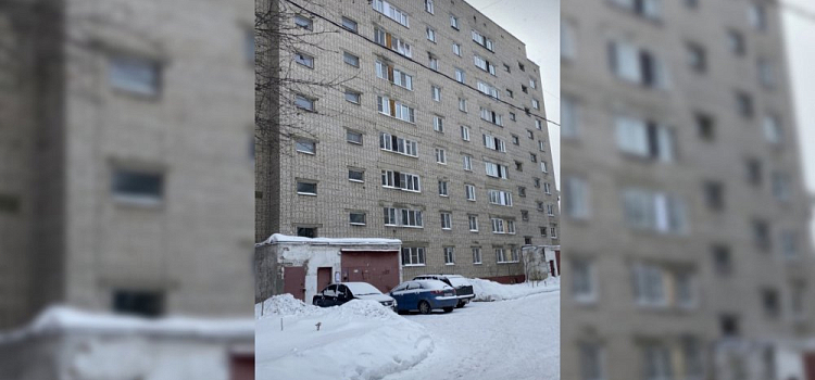 «Рядом детский сад»: жители Брагино пожаловались на стаю бродячих собак