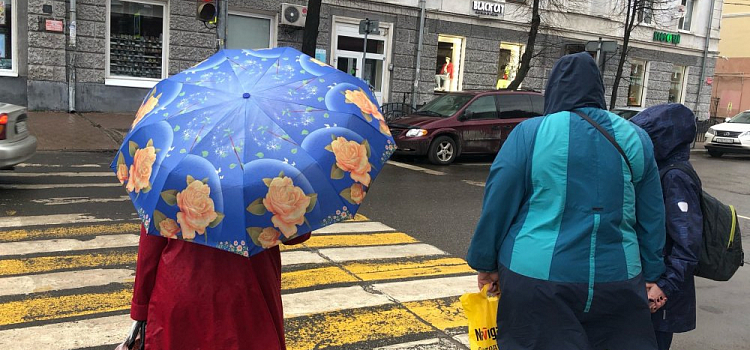 МЧС предупреждает о сильных дожде и ветре в Ярославле