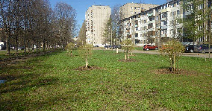 В Дзержинском районе ведутся работы по озеленению территорий 