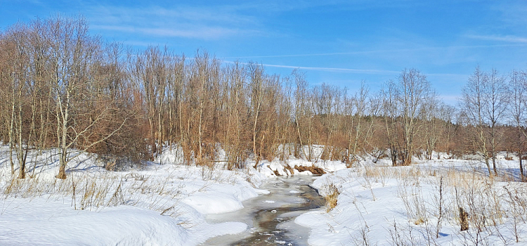В Ярославль хлынет аномальное тепло