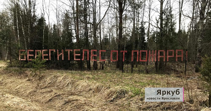 В Ярославской области ввели особый противопожарный режим: что запрещено