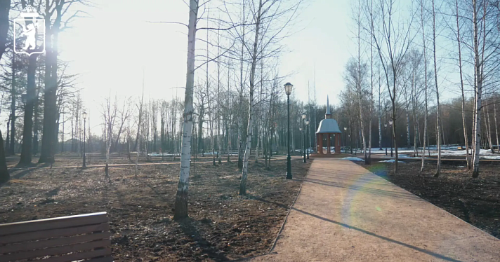 Для Петропавловского парка Ярославля на основе исторических данных разработали дендроплан