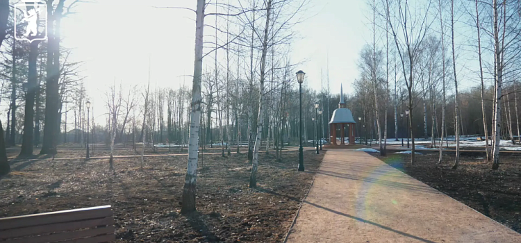 Для Петропавловского парка Ярославля на основе исторических данных разработали дендроплан