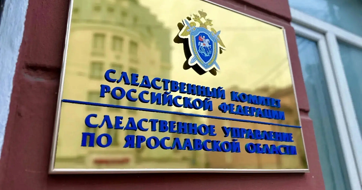 В отношении бывшей ярославской журналистки возбудили уголовное дело