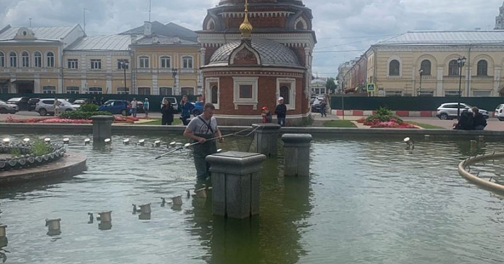 В Ярославле в центре города специалисты спасли утят из фонтана