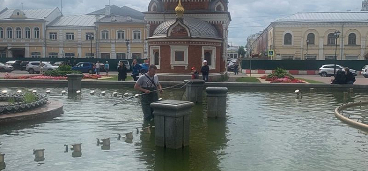 В Ярославле в центре города специалисты спасли утят из фонтана