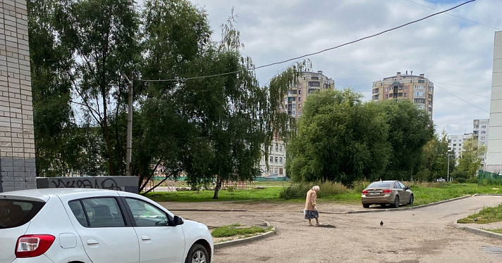В Дзержинском районе Ярославля пенсионерка занялась ямочным ремонтом