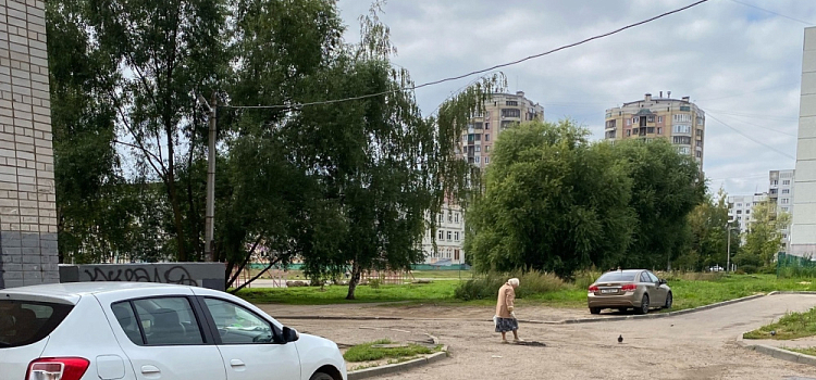 В Дзержинском районе Ярославля пенсионерка занялась ямочным ремонтом