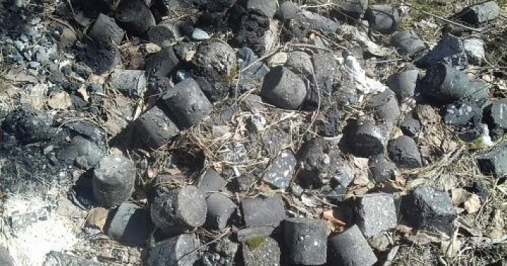 В Ярославле рядом со скотомогильником нашли свалку из проб асфальта