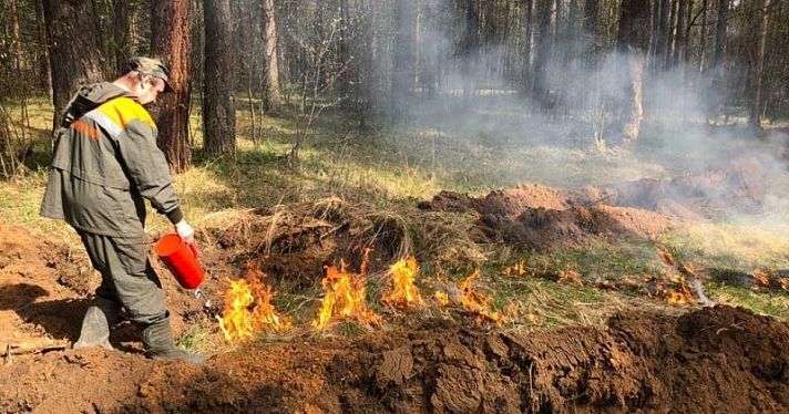 Пожароопасный период в Ярославской области объявят на две недели раньше