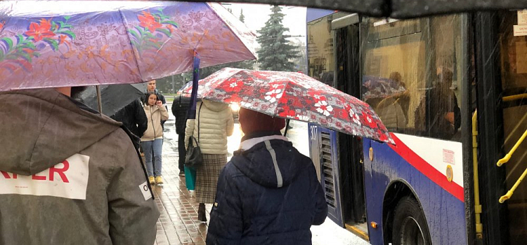 Ярославцы могут получить гранты на аренду помещений и закупку техники