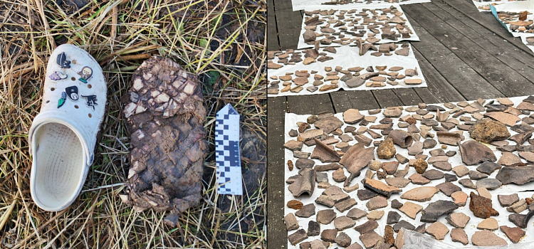 В долине реки Сить археологи открыли два новых памятника и царское село_320195