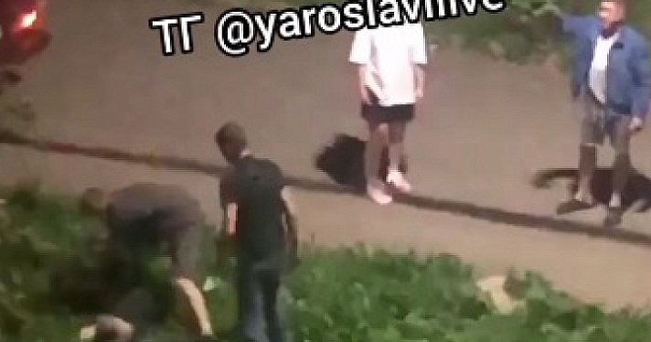 В Ярославле полицейские нашли мужчин, избивших доставщика пиццы