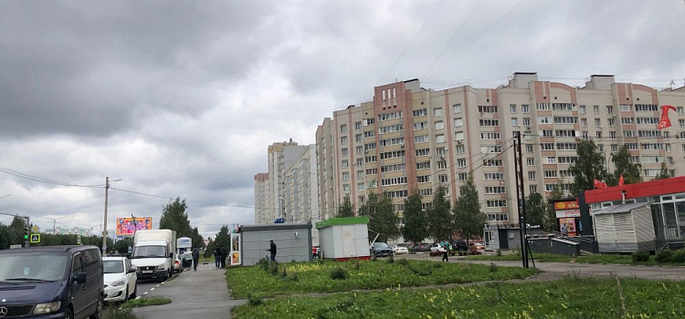Бабье лето: когда в Ярославскую область придет тепло