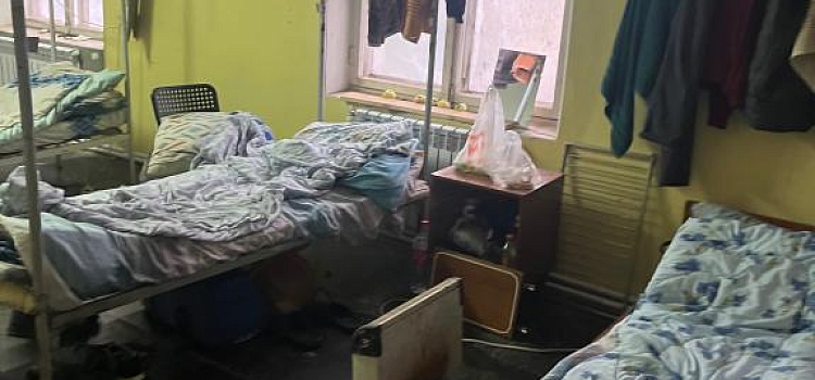 В Переславле-Залесском на лесопилке нашли трех нелегальных мигрантов_255390