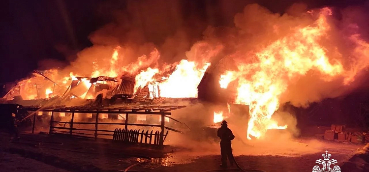 Сигарета привела к пожару: в Ярославской области погибли люди и животные_314969