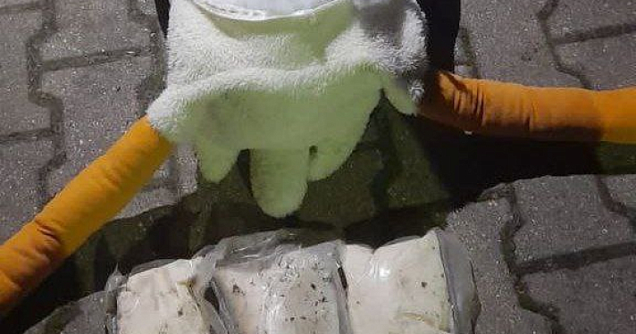 «Распороли брюхо гусю»: в Ярославле оперативники нашли почти полтора килограмма наркотиков в мягкой игрушке